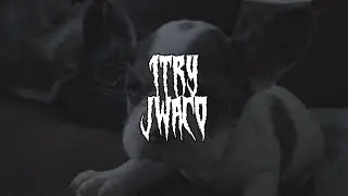 1TRY #jwaco (Official Music Video)