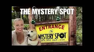 The Mystery Spot: California&rsquo;s Gravity Illusion Zone