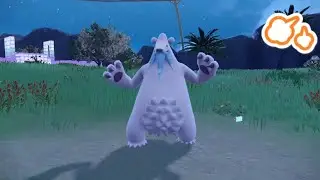 Shiny Cubchoo + Shiny Beartic 