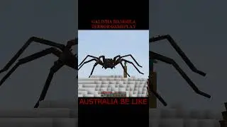 AUSTRALIA BE LIKE  #minecraft #terror #shorts #spider #scary