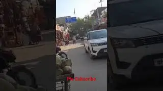 Pushkar Market (5)