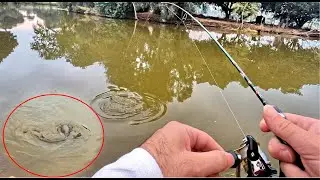 דיג בז'רז'ור Extra Ultralight סשן נוסף בפארק הלאומי 🎣 ופייט מהנה של 5 דקות עם שפמנון  😊 HE/EN Subs
