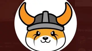 Shiba inu competitor Floki Inu aiming for coinbase Listening