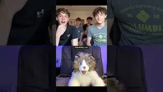 Guessing People&rsquo;s Names 28 - Hilarious Omegle Puppets #shorts