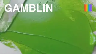 Permanent Green Light - Gamblin Artist Oil Paint | Paint List