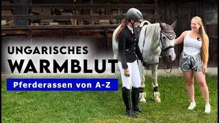Pferderassen von A-Z | Ungarisches Warmblut - Der Profisportler unter den Pferden⚡