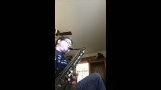Joe Guzardo Honest Review of Donna Schwartz Music
