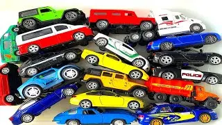 Peugeot Parade  Unveiling a Colorful Array in Our Model Car Showcase!