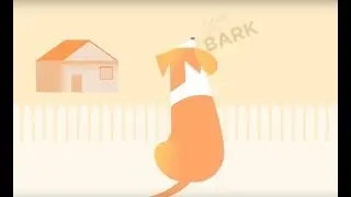 Dog Barking Noise Complaints