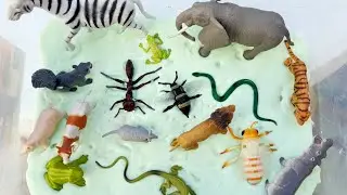 Green Slime Animals! Zebra, Elephant, Tiger, Snake. Iguana, Hippo, and more!
