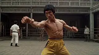 Is the 30 Day BRUCE LEE CHALLENGE the BEST Fitness Program for Busy People?