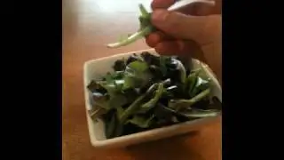 Top Fat Burning Food #6