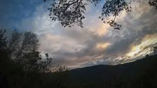 Bandtail Hunting Sep 26 2025!