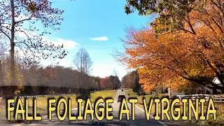 🇺🇸 Fall Foliage in Virginia 🇺🇸 4K: Relaxing Scenic Drive with Autumn Colors Ambience 🍂🍁