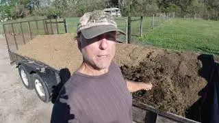 Sheep Manure 3-4-2021