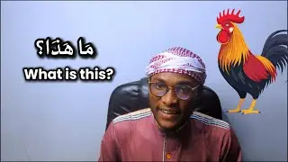 Interactive Arabic Class For Beginners (Lesson 1 Part 2)