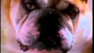 Churchill Insurance advertisement 1994