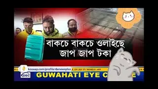 assamese funny news,assamese roast video