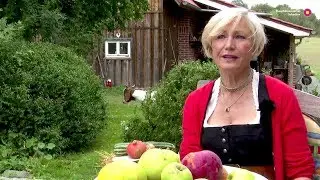 #WirsindBiosphäre: Ferienwohnung Elke Wahlig
