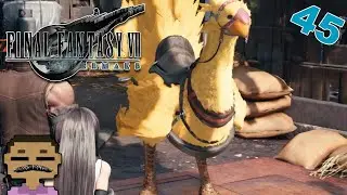 CHOCOBO SEARCH- Final Fantasy VII Remake