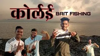 Alibag korlai bait fishing/आलिबाग कोर्लई फिशिंग #baitfishing#baramundi#grouper #fishing#beachvibes
