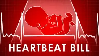 The DANGER of Fetal Heartbeat Laws: What EVERY American needs to HEAR.