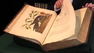 Естественная история Каролины, Флориды и Багамских островов: Кейтсби