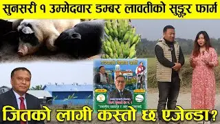 सुनसरी १ उम्मेदवार डम्बर लावतीको सुङ्गुर फार्म, जितको लागी कस्तो छ एजेन्डा? || Dambar Lawati(Jental)