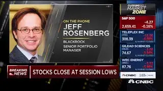 Bond market reflecting fundamentals: Portfolio manager