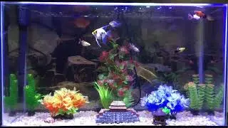 Best Zen Meditation 🧘 Relaxation Music Part 3.  Help Reduce Stress and Anxiety 2022.  No Advertising