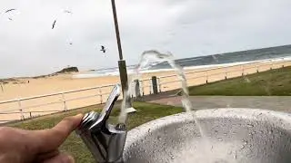 Visit Newcastle Nobbys Beach