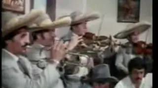 VICENTE FERNANDEZ - PALABRA DE REY (ILUSTRADO)