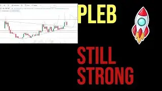 PLEB COIN | Price Prediction & Analysis | Memecoin Market Update