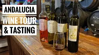 WINE TOUR IN ANDALUCIA, SPAIN | Muscatel wine tasting and visit to Torrox, C&oacute;mpeta and Sayalonga