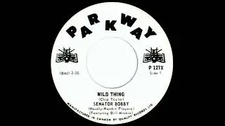 Senator Bobby (Bill Minkin) - Wild Thing