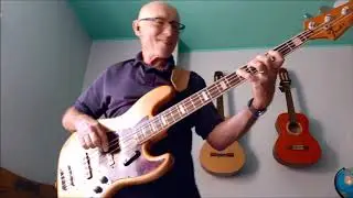The Wonder of You (Elvis Presley): Bass Cover (Video)