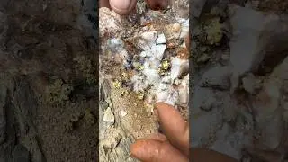 in the white stone vein i found gold