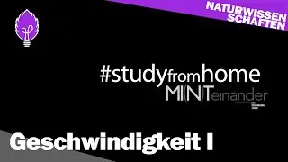 Geschwindigkeit I mit Marlies