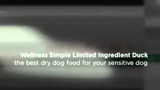 Wellness Simple Limited Ingredient Diet Dog Food