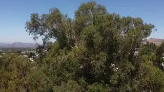 Atherwood Park First In-Flight Waypoint Mission