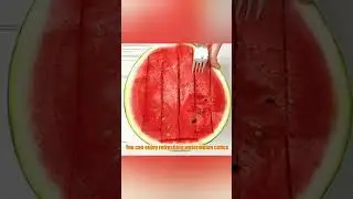 2 in 1 Watermelon Slicer with Fork Durable Watermelon Cutter Stainless Steel Watermelon Cutting Rul