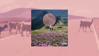 NAAFRI8 - Intro (Official Lyric Video) - Prod. by NAAFRI8