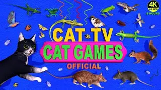 CAT GAMES 🐾 3D TV FOR CATS TO WATCH - ULTIMATE ENTERTAINMENT VIDEOS COMPILATION! 😻 4K 8 HOURS