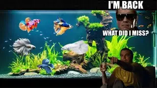 JJ 14G is back?!?! first of many more to come #fishtanks
