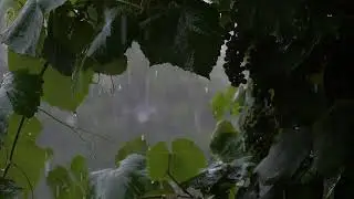 MS Sound/Piano Music for Deep Sleep,  Yoga & Relaxation and relief.