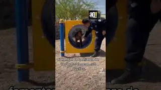 Nuevo parque canino en Quer&eacute;taro