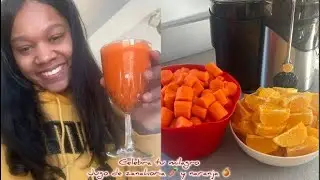 30-Day Carrot Juice Challenge 🥕🍊 | Day 5