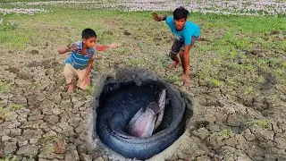 Believe This Fishing - Best Fish Catching Technique - New Technique Of Catching Catfish