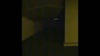 ||The Backrooms|| liminal Research Division room 87 A creature