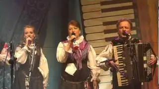 Ansambel Mira Klinca-Za glasbo živim (v živo)